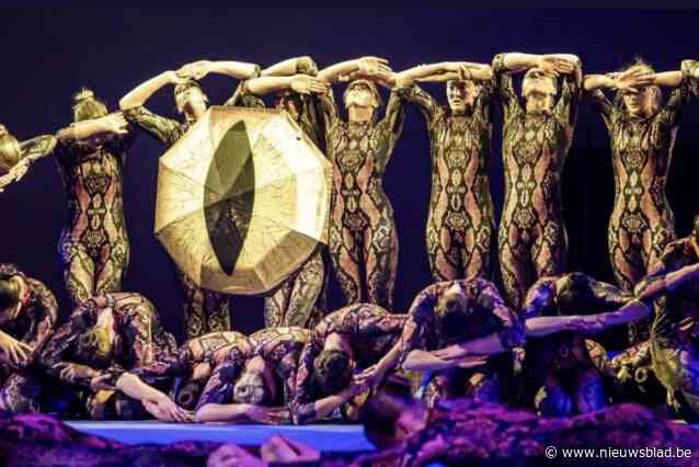 Dubbele zege voor Turnkring Olympia op Reinaertcup