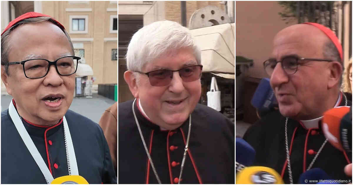 La “sfilata” dei cardinali a San Pietro prima del Conclave: “Rosa di nomi? Non ancora, domani capiremo qualcosa”