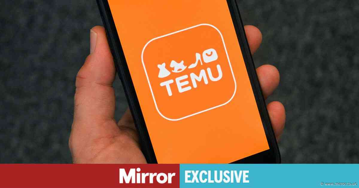 Brits' favourite shopping app Temu 'makes a fortune from wrecking our planet'