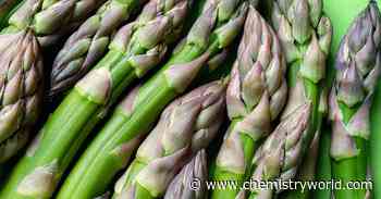 Why does asparagus make my urine smell?