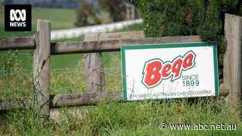 Bega Cheese to close Victorian processing site to move jobs to NSW