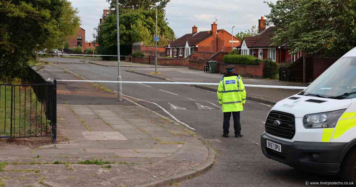 Man fights for life after being stabbed in street robbery