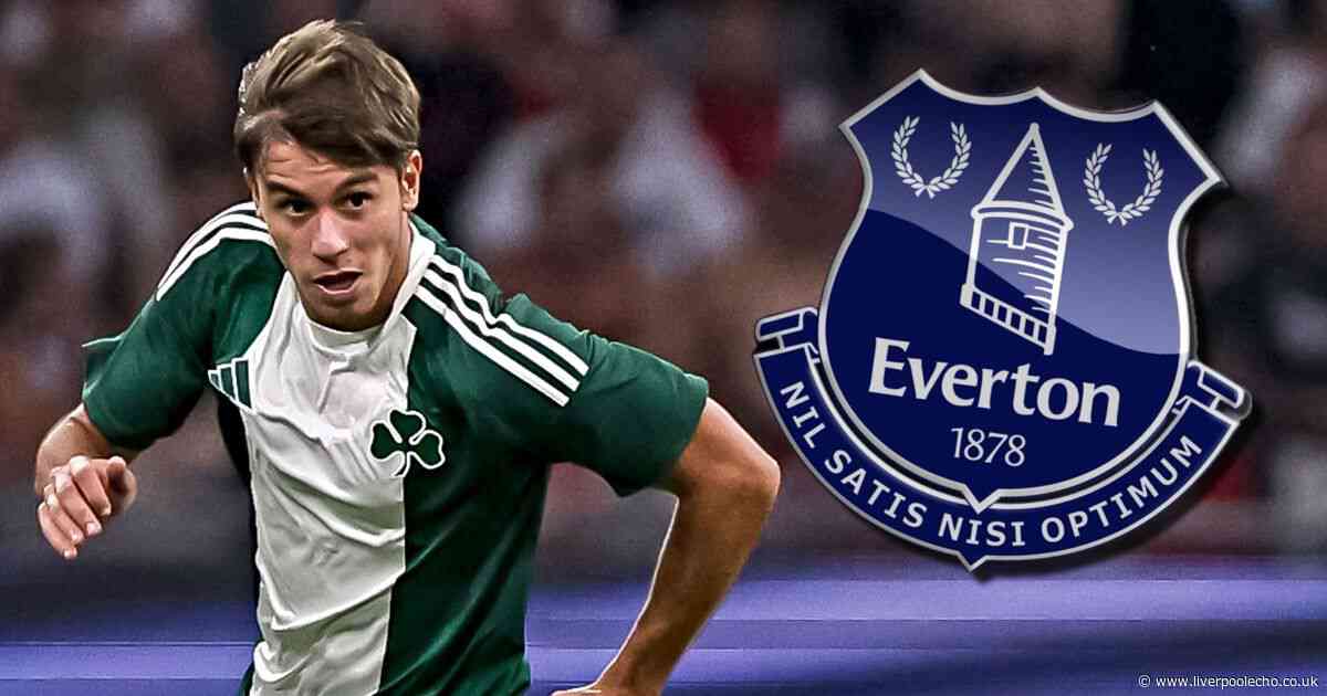 Everton could take transfer chance and add new dimension to their play by replacing £16m signing