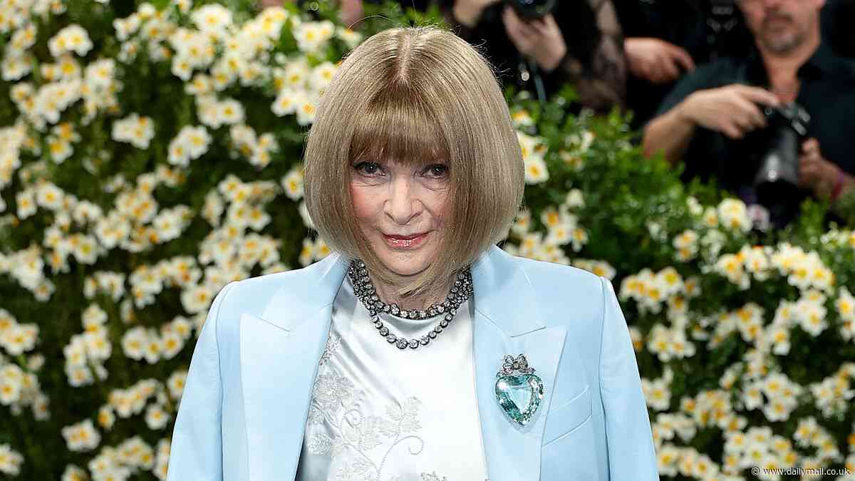 Anna Wintour sparks fears she will have her 'poor intern executed' and 'fire her entire styling team' as eagle-eyed fans spot suspicious red stain on her Met Gala gown