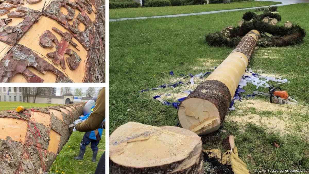 „Mich macht das unfassbar wütend“ – Wer hat den Maibaum von Ottobeuren angesägt?