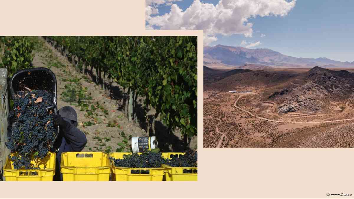 Argentina’s wine heartland eyes copper riches