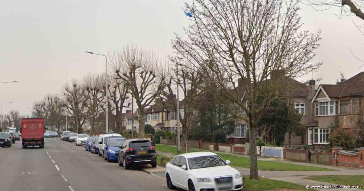 Man arrested and six dogs seized after woman injured in Romford attack