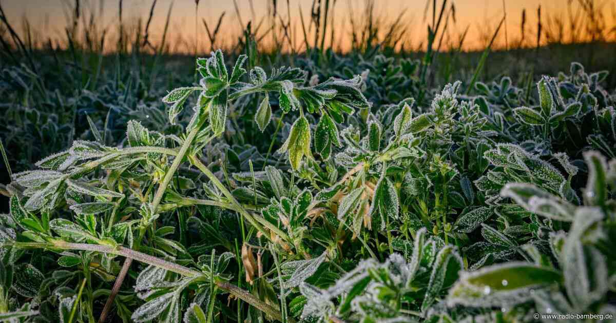 Frostige Nächte und kühles Wetter