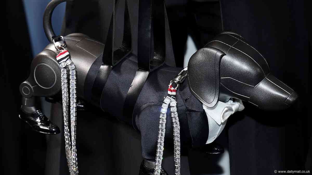 Robot DOG makes an appearance at the Met Gala - dressed in a tuxedo and adorned with a 1,000-carat diamond leash