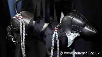 Robot DOG makes an appearance at the Met Gala - dressed in a tuxedo and adorned with a 1,000-carat diamond leash