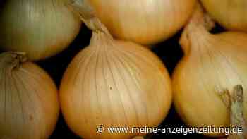 Kann ich keimende Zwiebeln noch verwenden?