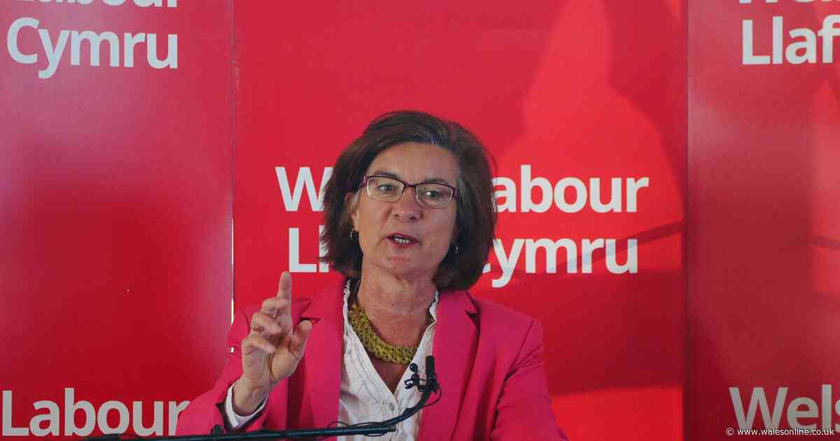 The key points from Eluned Morgan's big speech as she says Farage can win in Wales and says being in Labour is like Gavin and Stacey
