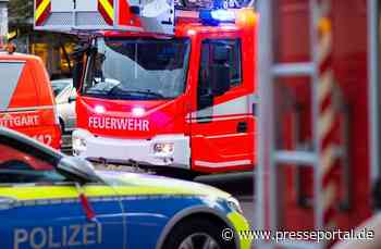 POL-ME: Baum in Brand: Polizei bittet um Hinweise 2505022