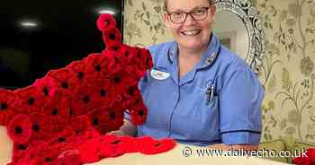 Care home creates touching knitted Spitfire tribute out of poppies