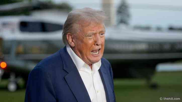 Bipartisan Trump critics highlighting rising costs
