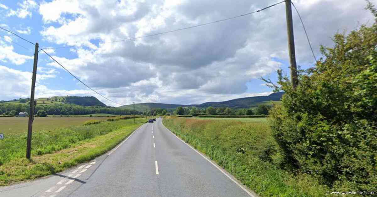 Man killed after crash involving lorry and van
