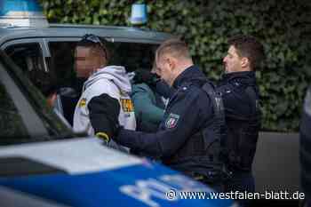 Drogen, Waffen, Gewalttaten