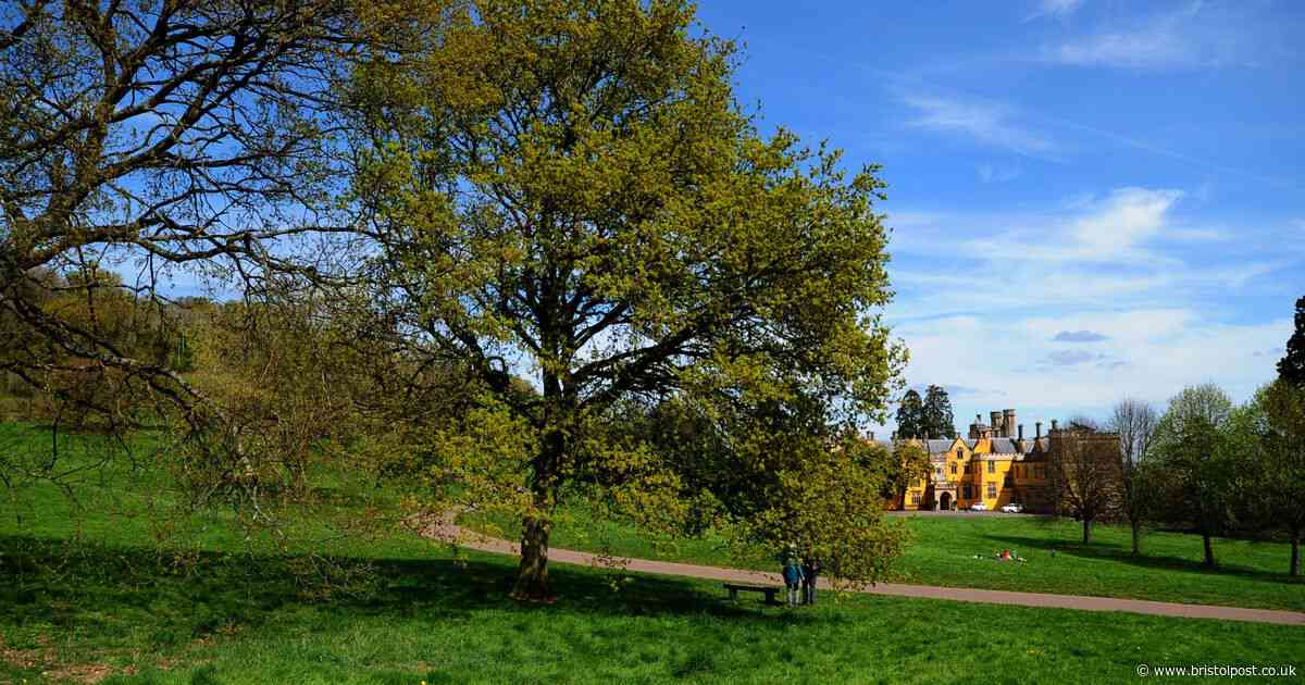 Council could charge for 'exciting activities' at Bristol's parks