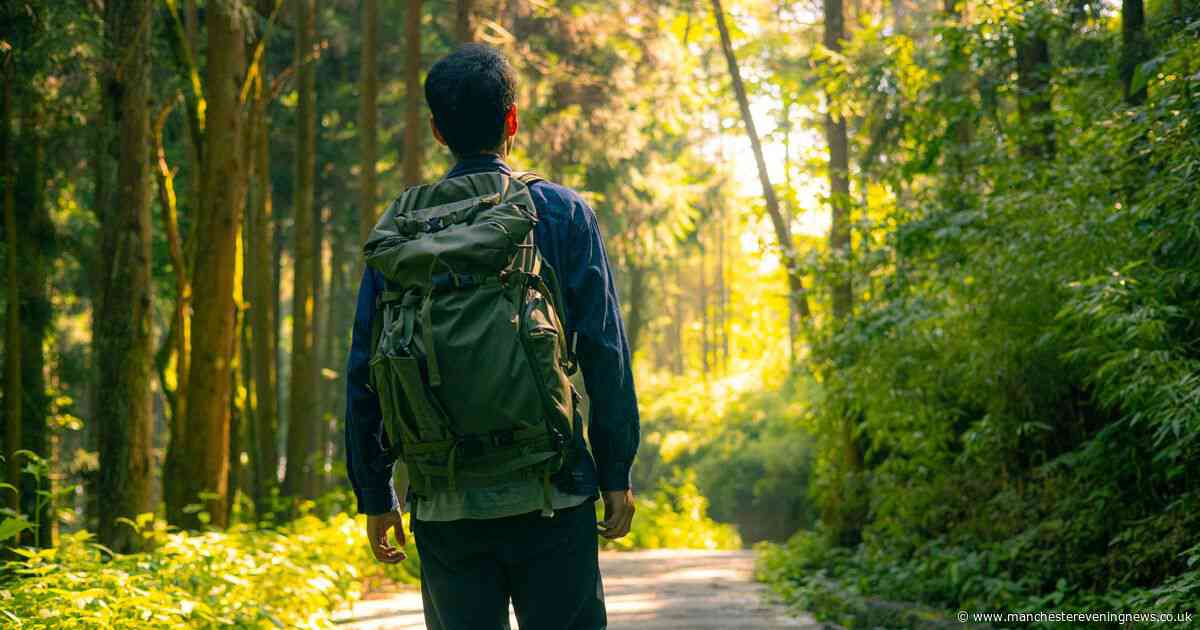 Man amazed as 'stone' in forest starts moving - and he 'can't believe his eyes'