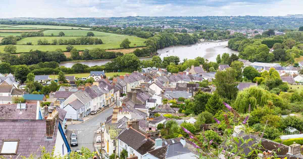 How to spend 48 hours in Cardigan