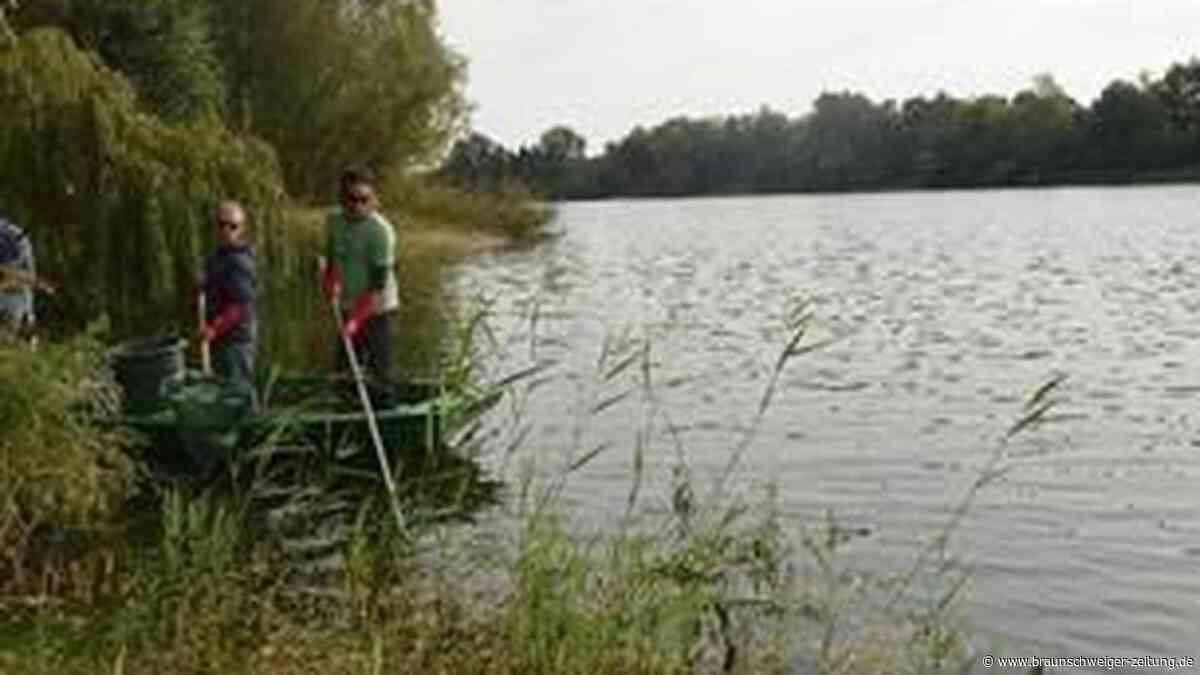 Kampf gegen Fischsterben – so hilft Peiner Angelverein dabei mit