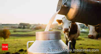 50 adulterated milk packets seized in Odisha