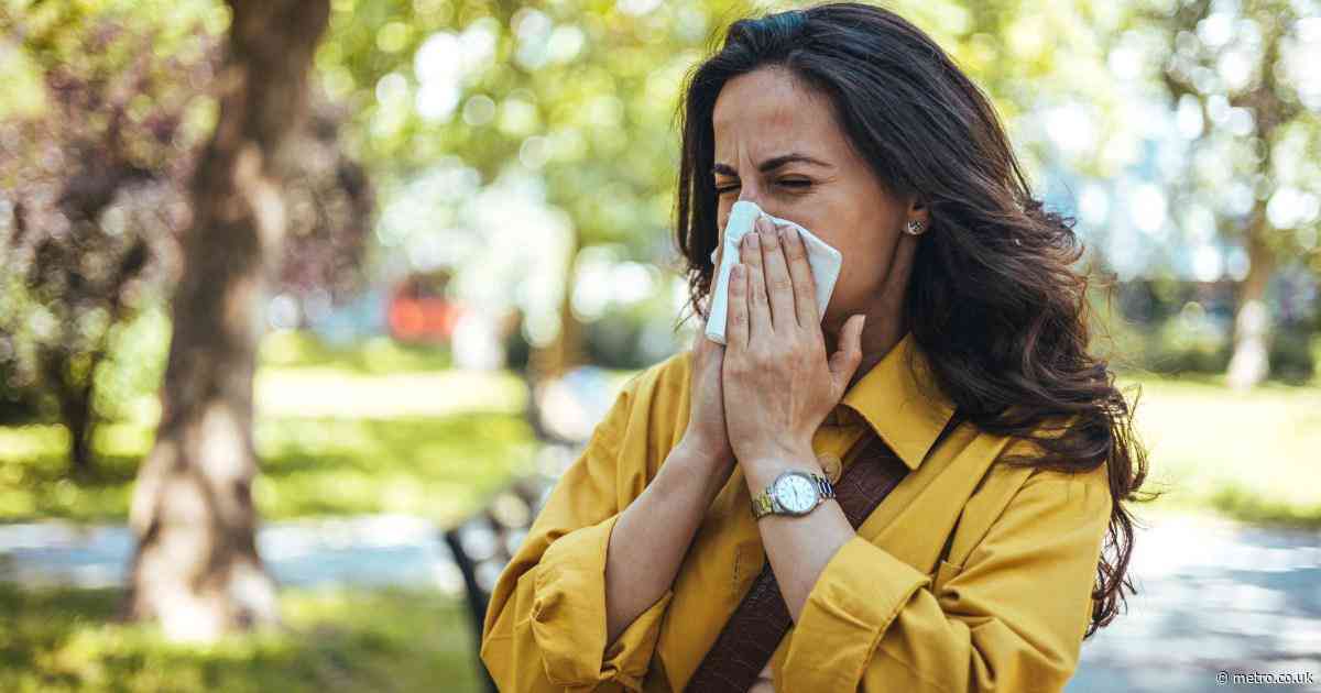 5 ways to ease hay fever symptoms as Londoners complain of ‘pollen bomb’