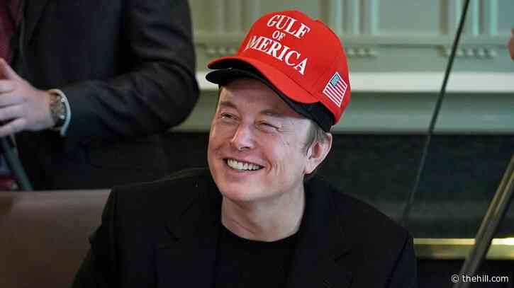 Most in Georgia disapprove of Musk government role, DOGE cuts: Polling