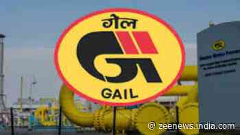 GAIL Hikes Startup Investment Fund To Rs 500 Crore In FY25: Hardeep Puri