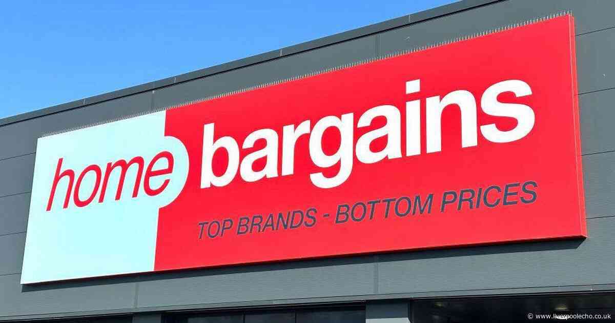 Avoid hefty airline fines with this £3.99 Home Bargains essential
