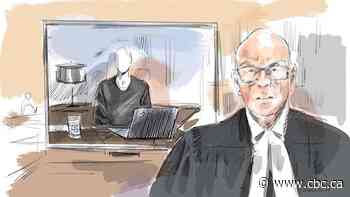 Defence suggests complainant in world junior hockey sex assault case 'liked the attention' from elite athletes