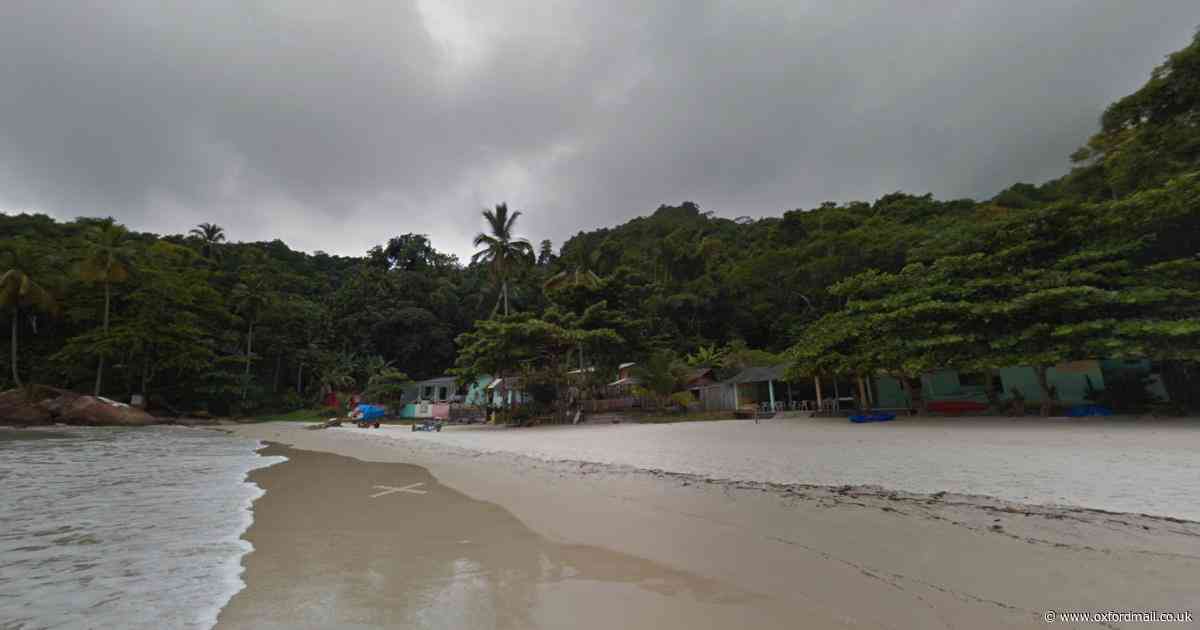 Man in 30s dies after falling from coconut tree