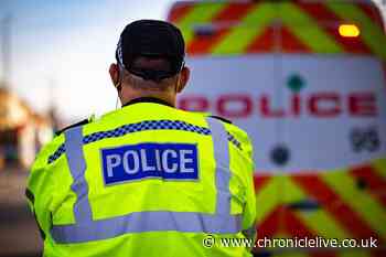Police appeal after car 'purposefully damaged' in Gateshead