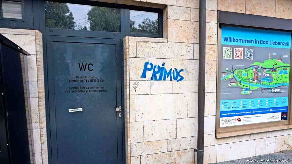 Notfall in Bad Liebenzell: Gast  in Bahnhofs-WC eingeschlossen – das beschäftigt sogar die Bundespolizei