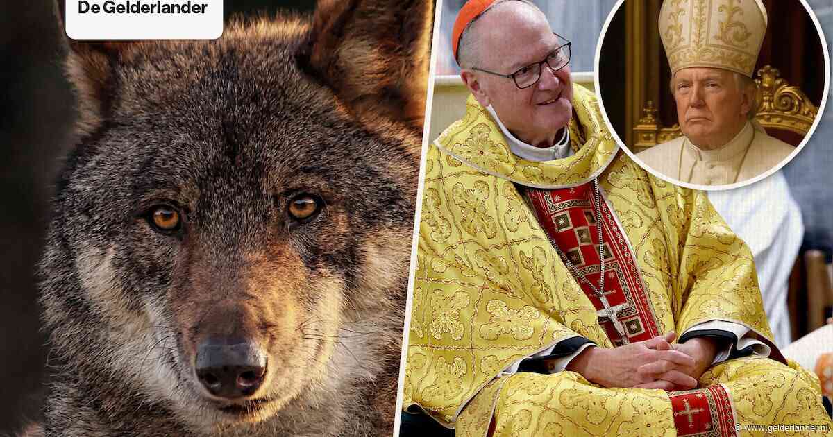 Nieuws van de dag | Kardinaal die door Trump wordt gesteund, haalt uit • Versneld besluit in Europa over jagen op de wolf