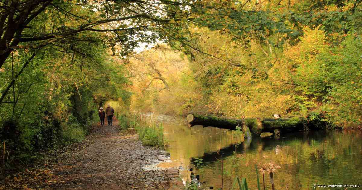 Woodland walk with a fairytale castle and a cafe that nails the perfect toastie