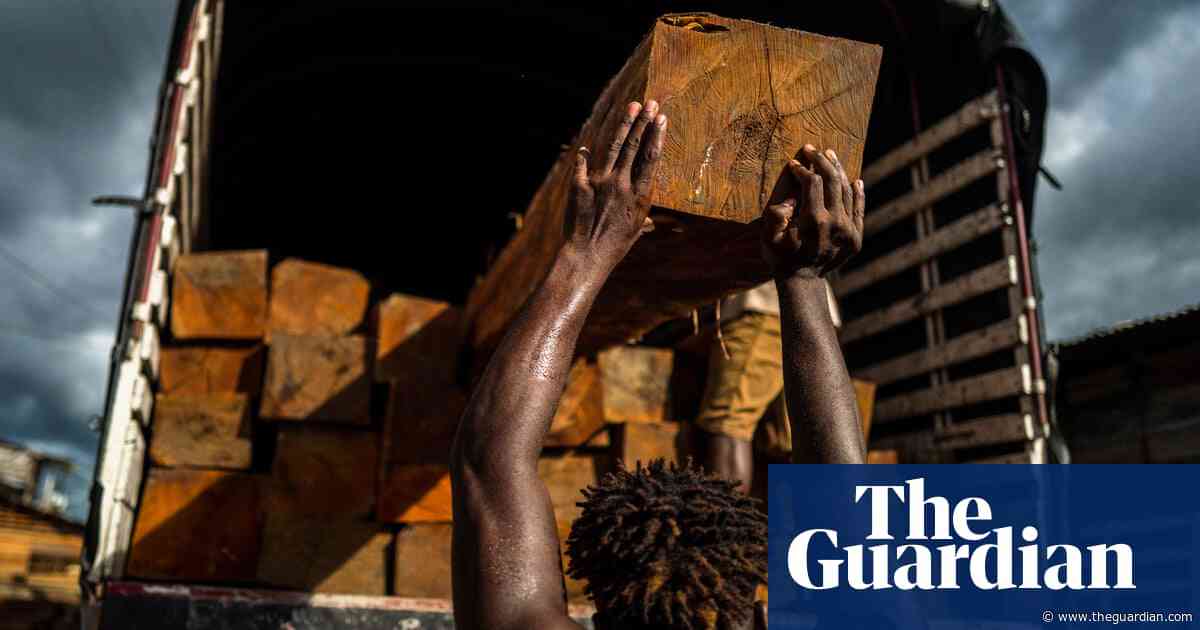 ‘Blood timber’: western firms fuel conflict and ‘slavery’ in Colombia