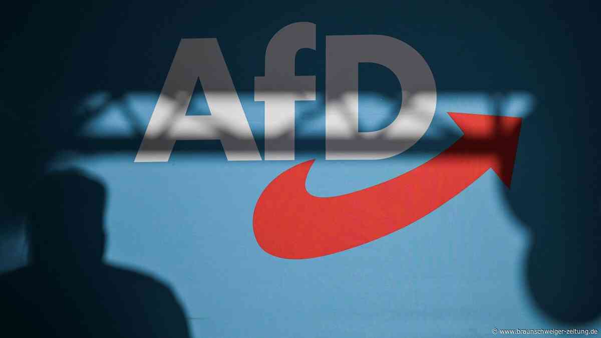 Wie Helmstedts Partei-Spitzen über ein Verbot der AfD denken