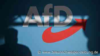 Wie Helmstedts Partei-Spitzen über ein Verbot der AfD denken