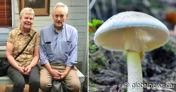 Sole survivor from toxic mushroom-laced meal testifies at murder trial