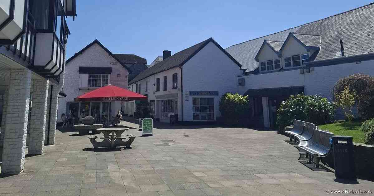 Inside sleepy West Country town where residents are living in fear due to gangs of kids