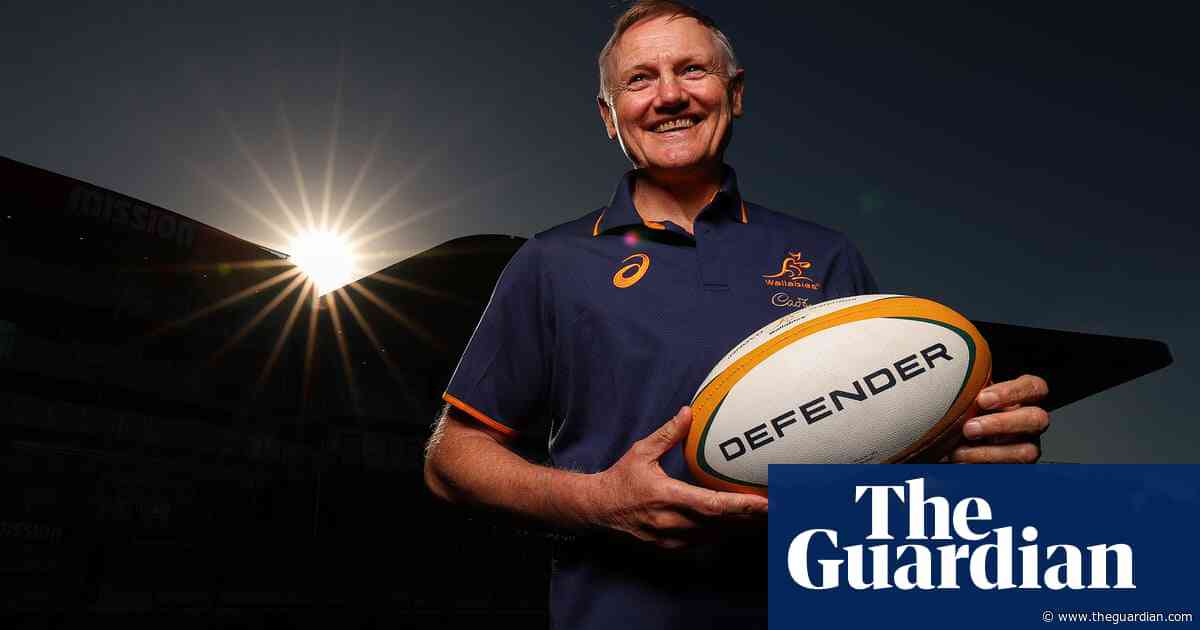 Joe Schmidt turns the page in search of secret to Wallabies success | Jack Snape
