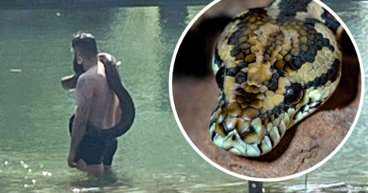 Public urged to call police after 'python' spotted in city