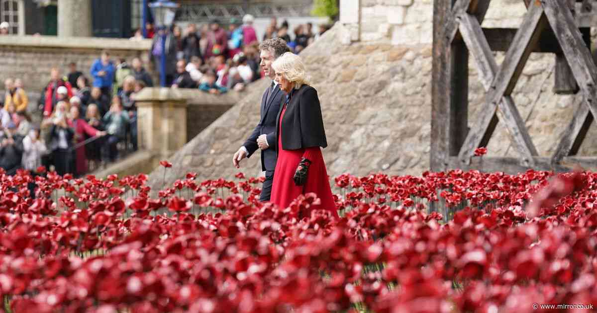 Emotional Queen Camilla admires 30,000 poppies in striking new WWII installation