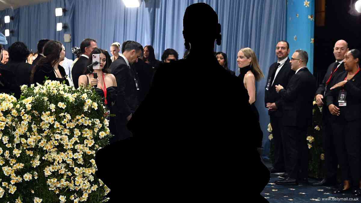 Mean Girl Anna Wintour snubs critically-lauded star from Vogue Met Gala snaps after MAGA support was revealed
