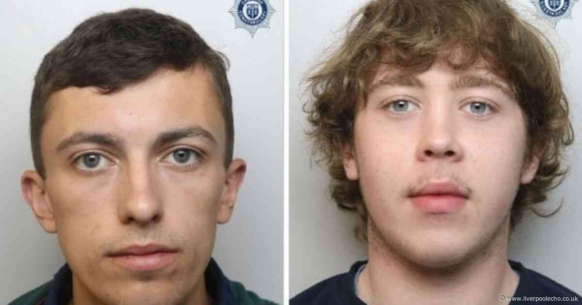They thought they could make 'quick cash' but it all went wrong