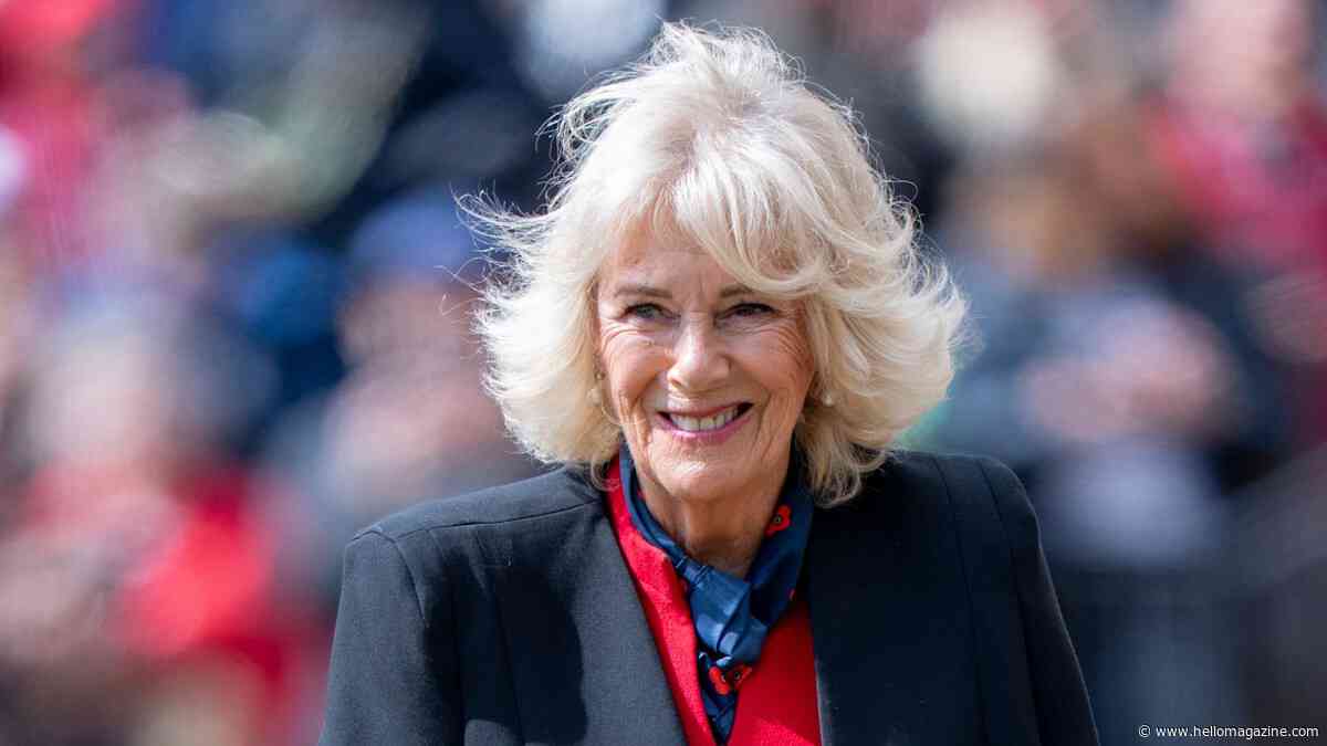 Queen Camilla's symbolic gesture for poignant meeting with veterans