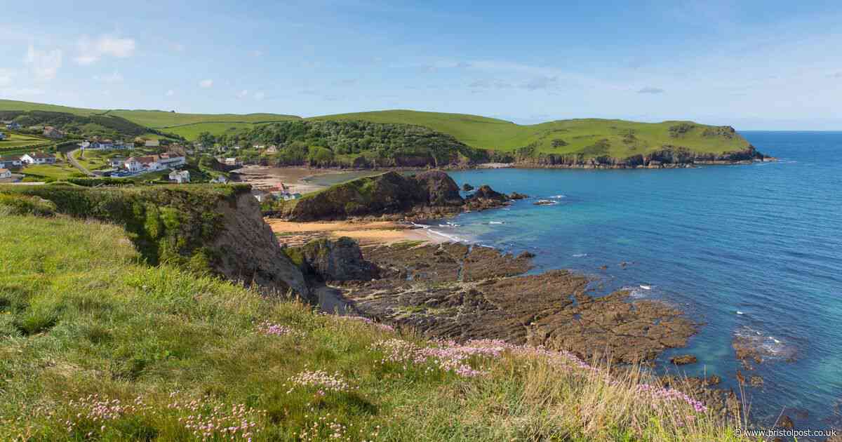 Teenager fell 100ft to her death while trying to rescue her dog from edge of cliff