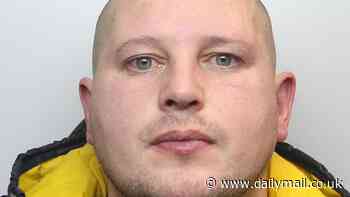 Hit-and-run driver who told police he had 'hit a bird' after ploughing into cyclist and killing him is jailed