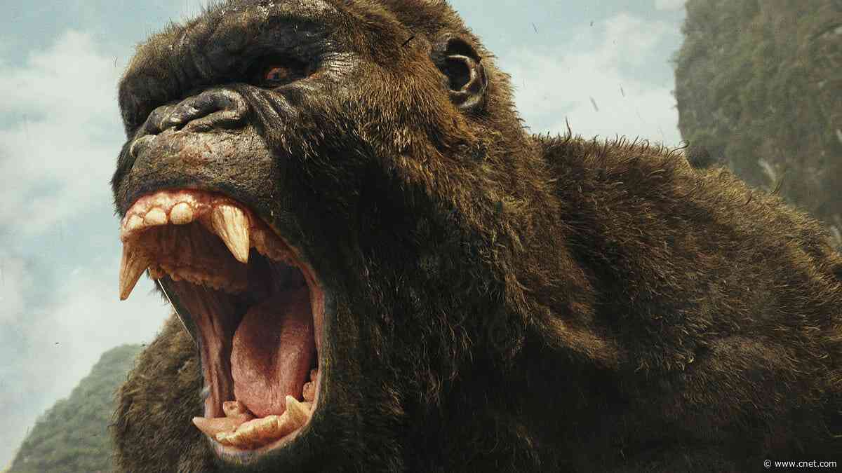 100 Men vs. 1 Gorilla Viral Question: Who Wins if It's King Kong?